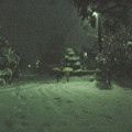 写真: 2_9雪夜,拡大