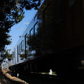 ローカル線鉄道写真撮り鉄画像7