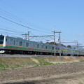 写真: 普通列車 E233系