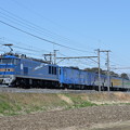 写真: 臨時列車 EF510-515