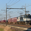 写真: コンテナ貨物列車＠EF641008