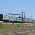 写真: E231系普通列車