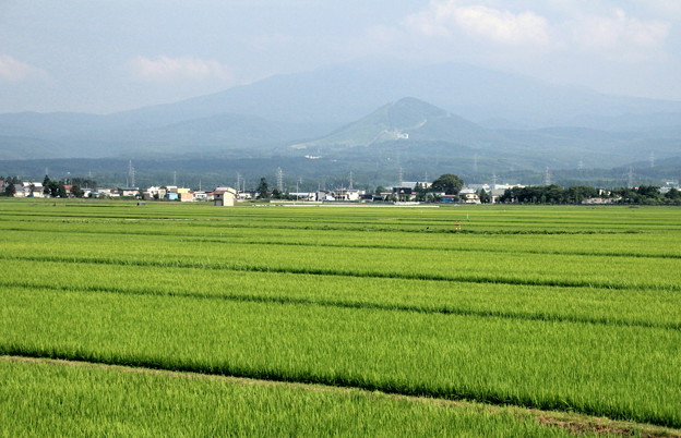 Photos: 田園風景02-12.07.28