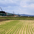 Photos: 北海道新幹線高架橋建設中07-12.10.24