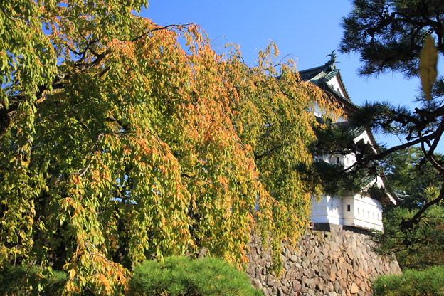 写真: 弘前城と紅葉02-12.10.27