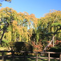 弘前公園の紅葉02-12.10.27