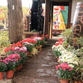 Photos: 弘前城植物園03-12.11.05