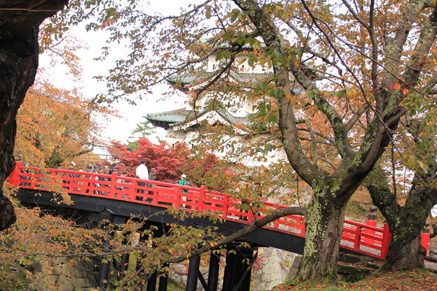 写真: 弘前城と下乗橋01-12.11.05