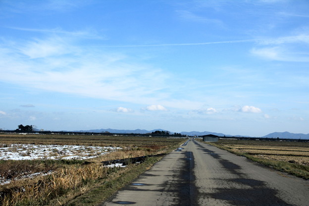 Photos: 田園風景と農道01-12.11.28