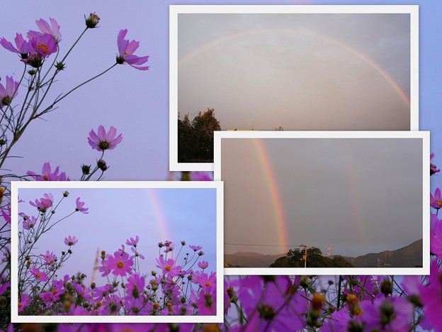 写真: 久しぶりに見た虹（二重）