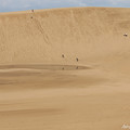 巨大砂場