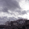 写真: 曇天