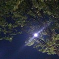 写真: 本日満月
