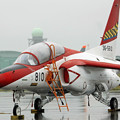 T-4　#810 第31飛行教育隊所属機　IMG_7067_2