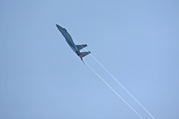 写真: 飛行開発実験団　F-15J #914　IMG_7991_2