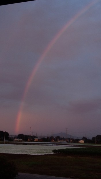 写真: うっすら二重の虹T