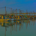 写真: ある漁港