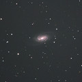 写真: しし座の銀河 NGC2903(^_^;)