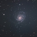 写真: 回転花火銀河 M101(^^)