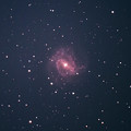 写真: M83 南の回転花火銀河(^_^;)