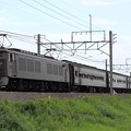 9831レ EF64 37＋旧型客車 6両＋EF64 1001