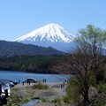 写真: 富士を描く人