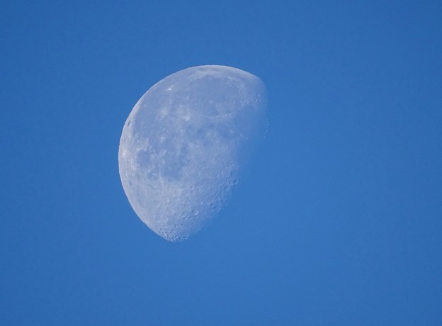 写真: blue moon