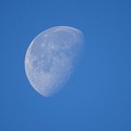 Photos: blue moon
