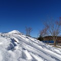 写真: 雪富士