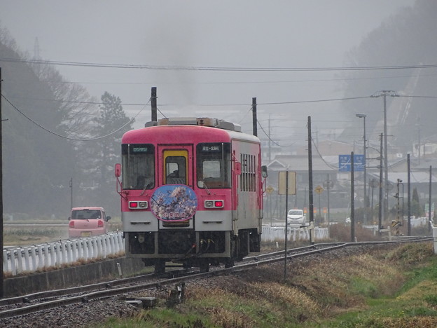 写真: rain train