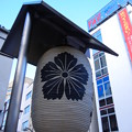 写真: 撫子(なでしこ)-宝泉寺の寺紋 (新宿区西早稲田)
