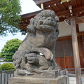 写真: 鵜の木八幡神社 (大田区南久が原)