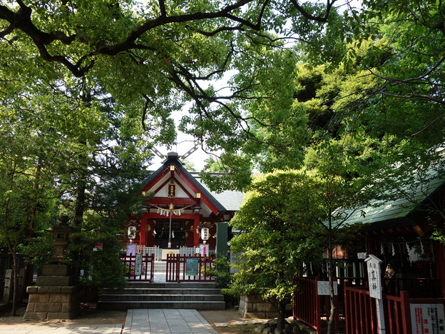 写真: 徳持神社 (大田区池上)