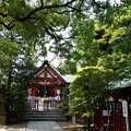 写真: 徳持神社 (大田区池上)