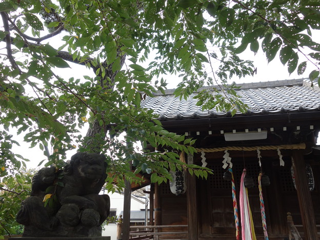 写真: 利田神社 (品川区東品川)