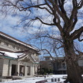 写真: 国立博物館 (台東区上野公園)