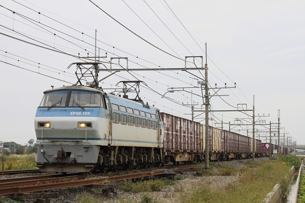 写真: _MG_4652 EF66 125牽引の貨物列車（列番不明）