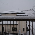 1月の大雪