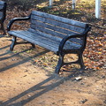 写真: 木漏れ日のベンチ