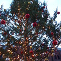 写真: キラキラクリスマスツリー2
