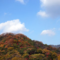 写真: 秋山をパチリ