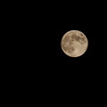 写真: 今夜月の見えるベランダで