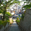 写真: 鯛の宮神社 Tainomiya Shrine 参道 呉市西三津田町