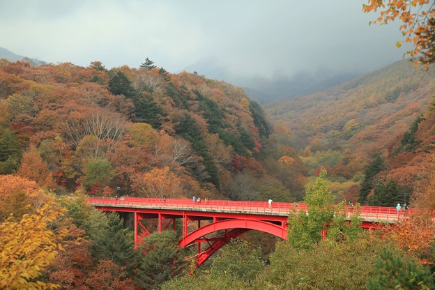 写真: 赤い橋の紅葉