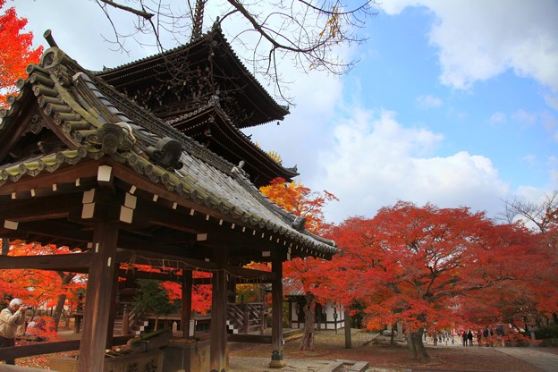写真: 紅葉と堂宇のお寺２