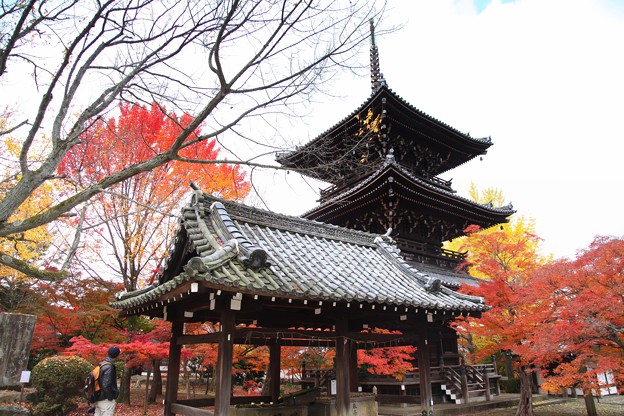 写真: 紅葉と堂宇のお寺４