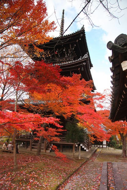 写真: 紅葉と堂宇のお寺６