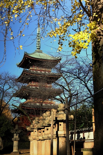 写真: 旧寛永寺・五重塔
