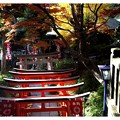 写真: 花園稲荷・穴稲荷神社