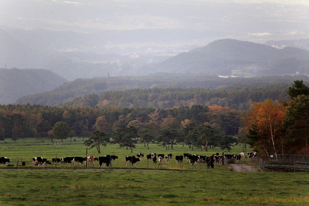 写真: 牧場の秋